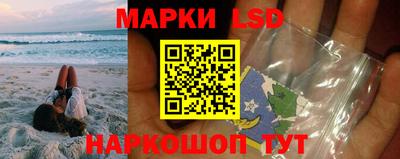 шишки Изобильный