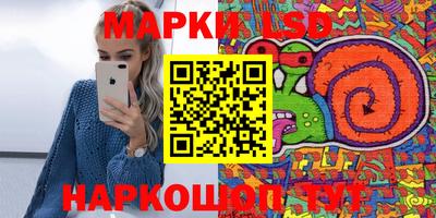 шишки Изобильный