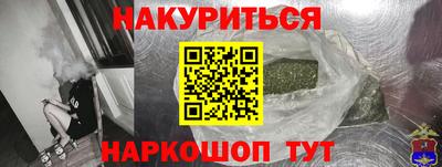 шишки Изобильный