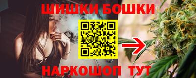 шишки Изобильный