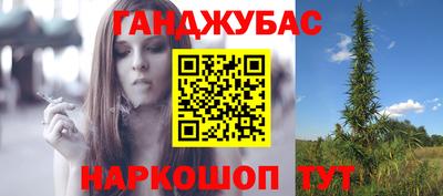 шишки Изобильный