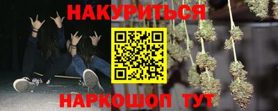 шишки Изобильный