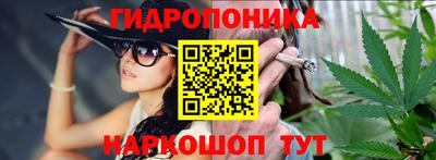 шишки Изобильный