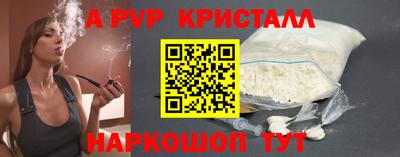 шишки Изобильный